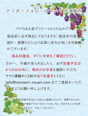G-1 [少量用1kg] 瀬戸ジャイアンツ【9月下旬～発送開始】 | 花